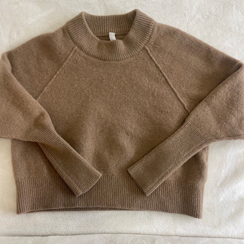 Babaton Crewneck Sweater in Taupe Brown